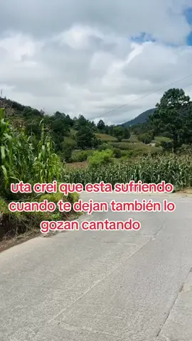 pueblo bello 
