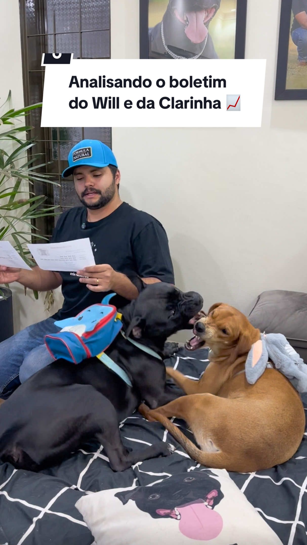 🐾 Saiu o boletim de desempenho do semestre por aqui!  E olha… parece que a Clarinha não ficou muito feliz com as notas de comportamento. 🙈  Entre fugir de casa, destruir a almofada e até se esconder na máquina de lavar, os pontos não foram dos melhores. Enquanto isso, o Will mostrou que anda se saindo bem melhor em obediência e socialização, mesmo precisando correr atrás da irmã de vez em quando. 😂 Mas se tem uma matéria em que os dois sempre tiram 10/10, é na alimentação! 🍽️ Porque com @formulanatural , não sobra nem um grãozinho no potinho e até os “alunos bagunceiros” se transformam em verdadeiros exemplos na hora do rango. ✨ Afinal, quando a comida é saudável, natural e deliciosa, todo pet vira o melhor da classe. #cachorro #cachorros #viralata #viralatacaramelo #formulanatural 