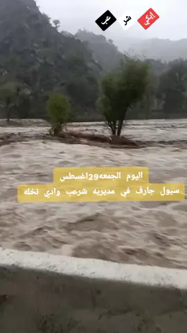 #فيضانات #وسيول #تعزشرعب #الرونه🤲يارب تسترعلاخلقك ياالله لطفك علاعبادك صورسيول من بلادي شرعب العز#فولو🙏🏻لايك❤️اكسبلور🙏🏻🌹💫 نشر