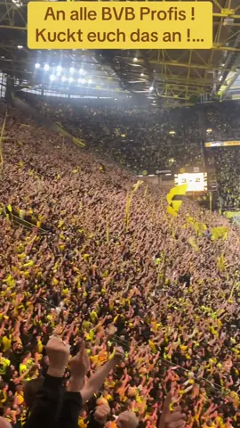 Borussia Dortmund Fans Weltklasse ! #bvb #leidenschaft #bundesliga #borussiadortmund #emotionen 