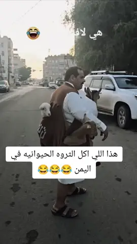 #اليمن_صنعاء_روح_قلبي🇾🇪إكسبلور 