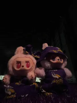 The moment you’ve all been waiting for… an official introduction to Telly & Vicky 🔥 #labubu #MinnesotaVikings #NFL #SKOL 