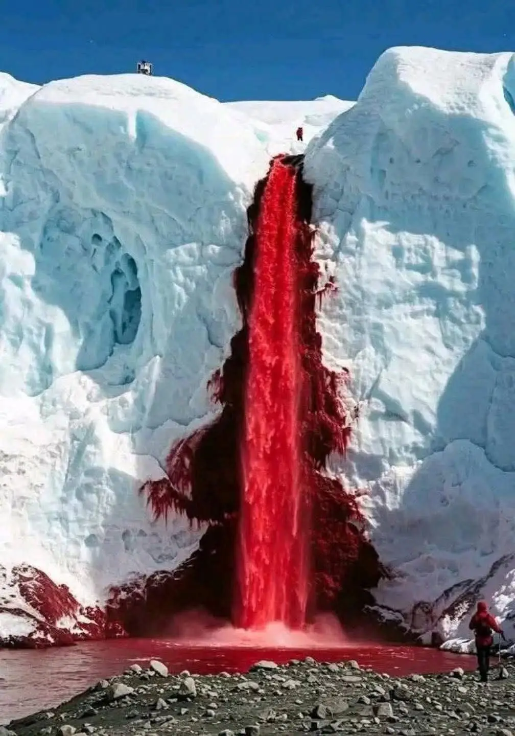 En la Antártida existe una cascada que parece sangre saliendo de un glaciar. Se llama Blood Falls y ocurre en el glaciar Taylor: el agua subterránea, atrapada por más de 1,5 millones de años, contiene tanto hierro que al contacto con el aire se oxida y toma ese color rojo intenso. #viral