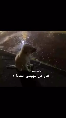 😂🗿#متحطم_وشوف_حلامي_تنهار💔✨ #foryoupage #xuhuong 