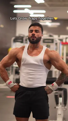 Lets Grow Traps Together 🤝