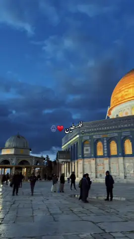 #اكسبلورexplore #اكسبلورexplore #CapCut #فلسطين_لبنان_سوريا_اليمن_مورتانيا #فلسطين 
