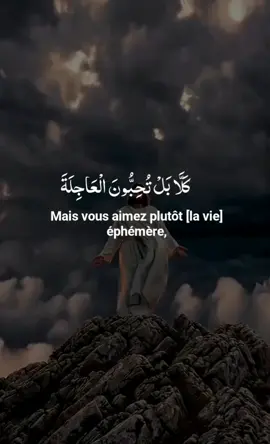 Chaque verset du Coran est une lumière qui éclaire le cœur et apaise l’âme. Écoutons, méditons… et laissons la Parole d’Allah nous guider #قرآن_كريم_راحة_نفسية #millionviewsvideo #quranrecitation #quran_alkarim #fyp 