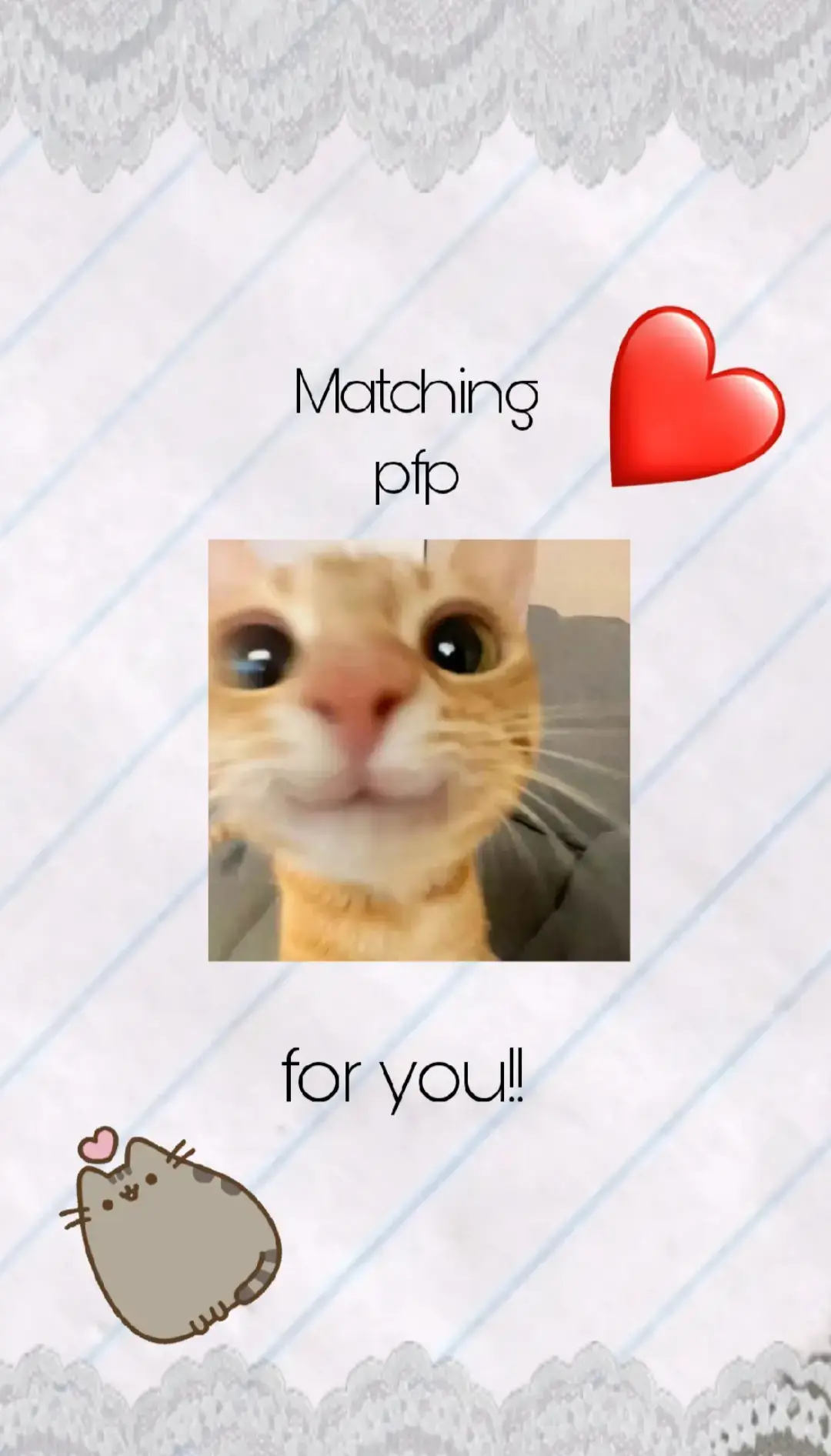 #Fyp #matchingpfp #Poland #cat