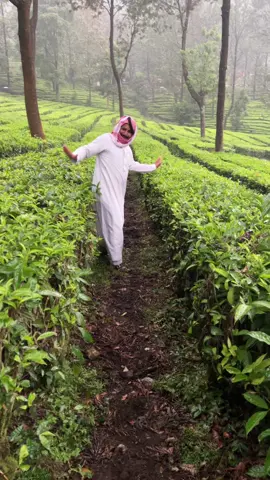 #الشمالي #الرويلي #اكسبلور 