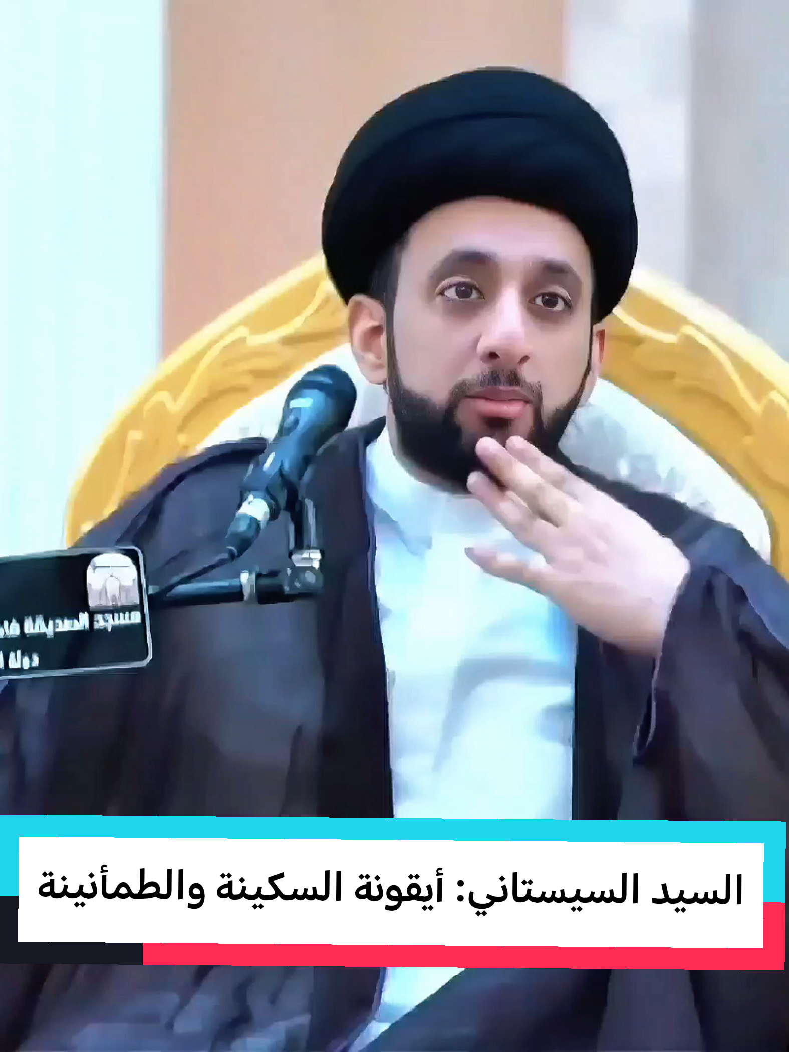 السيد السيستاني : أيقونة السكينة والطمأنينة  #السيد_موسى_العلي #العتبة_العلوية_المقدسة #النجف #المرجعية_الدينية_العليا #السيد_السيستاني 