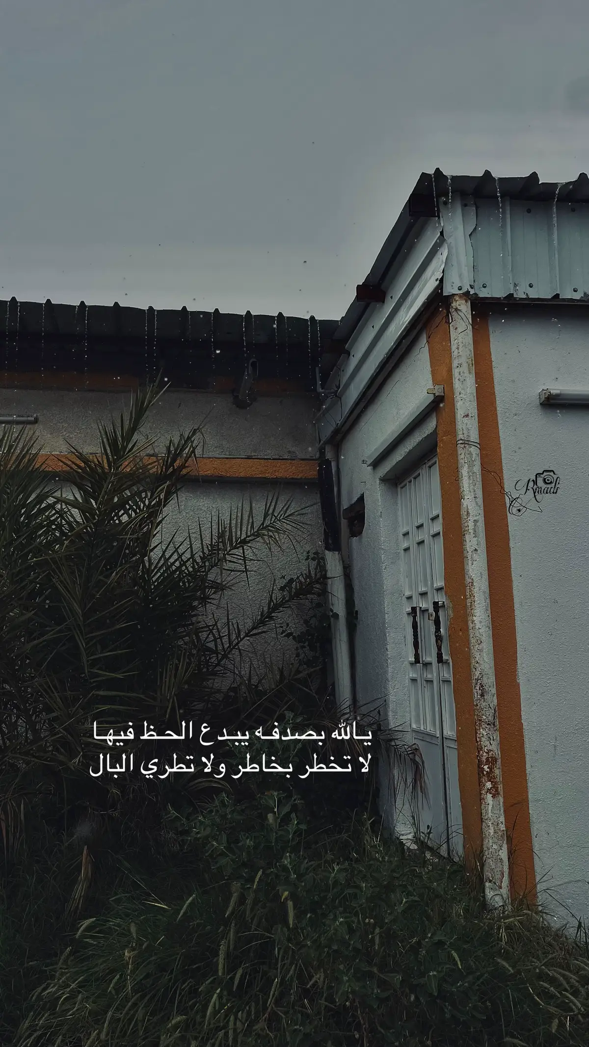 #تصويري #شعر #foryoupage #اكسبلورexplore 