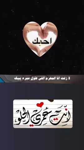 #احبك🌹❤️🌹اكسبلور 