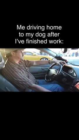 #dog #dogs #petwasteremoval #wastebandits