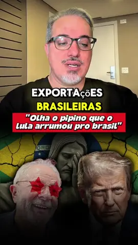 A situação entre Lula e donald trump, e as consequências da tarifa dos estados unidos sobre os brasileiros.  #taxa #lula #brasil🇧🇷 #tarifa #economia 
