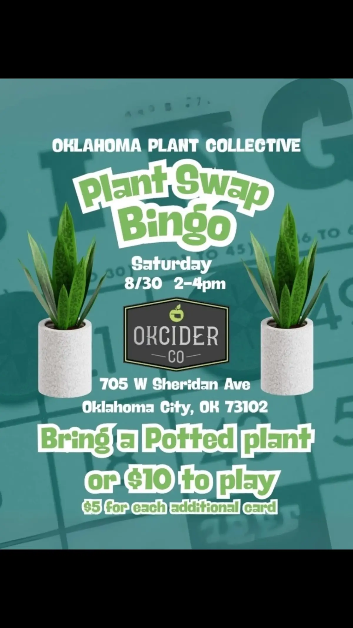 Come along with us! @Syngonium crazy @The Plant Collective @OK_CIDER_CO 