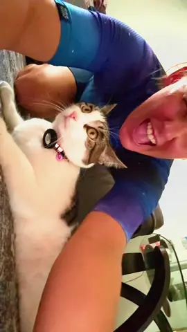 Take 2 was even more funnier with her face, definitely won’t quit my day job 😂😂 #fyp #taylorswift #catsoftiktok #TSTheErasTour #cats 