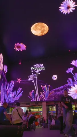 Replying to @Gabriela Carmela which one is your favorite? 🏜️ #naturephotography #artinstallation #timelapsephotography #immersiveart #flowersblooming 