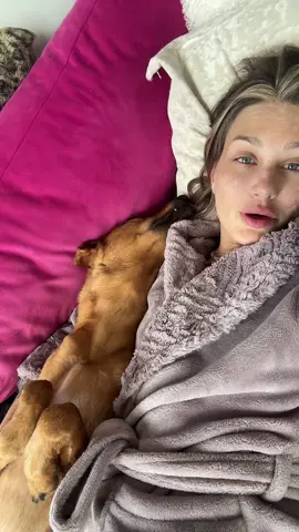 Sorry not sorry #dogmom #dogtok 