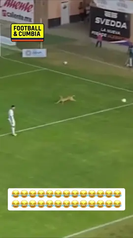 #sportsontiktok 