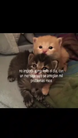 amo a mi novia bonita 💗#cuentadedicadaaminovia💗 #fyp #amor #noflop #viral 