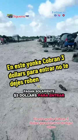 En este yonke Cobran 3 dollars par entrar no te dejes roben #creatorsearchinsights #yonke #partes #car #repuestos 