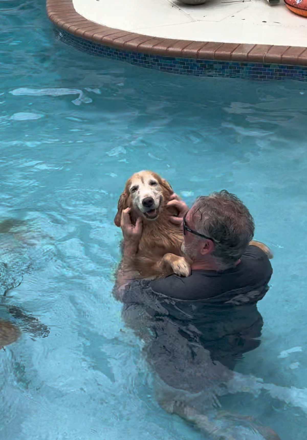 I know nobody will be surprised by this… But Shoney didn’t leave Paul’s side in the pool today. And please get a glimpse of her smile ❤️ #goldens #goldenretrievers #swimmingpool #swimmingdogs #goldenretrieverlife  