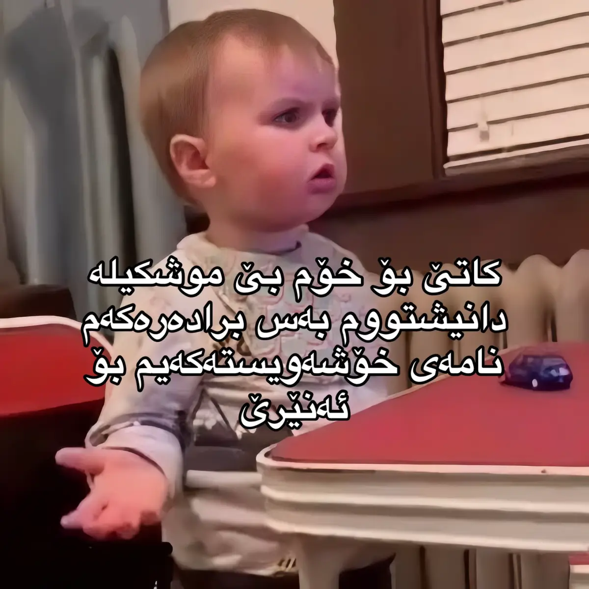 بی تەربێت #kurdish #idc #forfun  