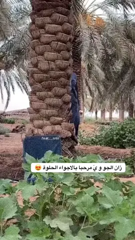 #في هذا اليوم #اكسبلور 