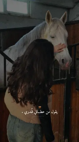 من عطاني قدري اعطية احترامي.👌🏻🙂‍↔️✨#راشديةمطنوخة #خيل_وخياله🐎 #capcut #foryou #viralvide 