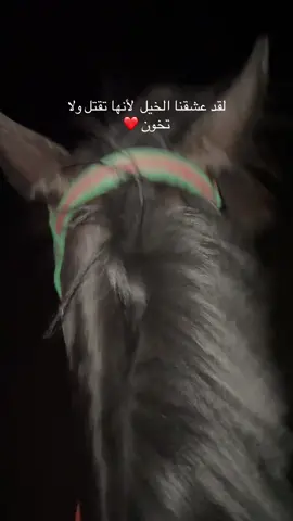 عبارات عن الخيل !!  #beachvibes #CapCut #fypp 