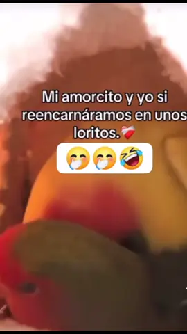 #fyppppppppppppppppppppppp 