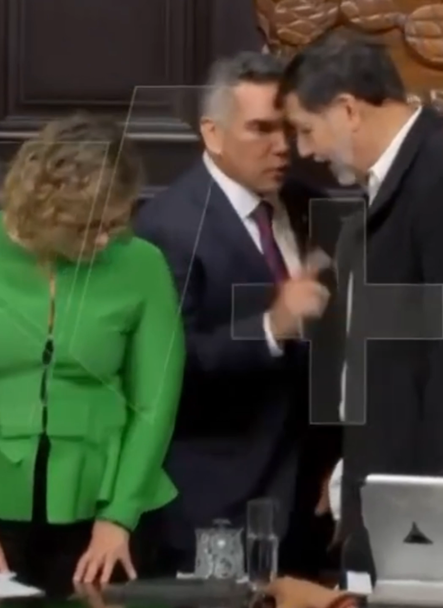 A brawl broke out in Mexico's senate as disagreeing lawmakers pushed and shoved each other. #political #mexico🇲🇽 #ustiktok #news #viral 