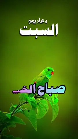 دعاء جميل اللهم اجعل هذا اليوم خير وبركة ويسر لي فيه كل عسير وارزقني فيه من حيث لا أحتسب اللهم إني أعوذ بك من شر ما قضيت وقدرت ومن شر نفسي وهواي اللهم اجعلني من الذاكرين الشاكرين الحامدين واجعلني من المقبولين في هذا اليوم الفضيل