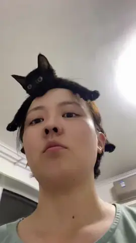 #cute #cat #funnyvideos #catsoftiktok #funny #fyp 