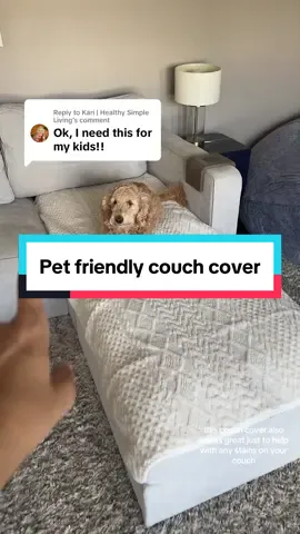 Replying to @Kari | Healthy Simple Living Give your sofa a fresh new look with this pet friendly couch cover, designed to fit a variety of couch sizes and styles. 🐾✨ Available in several colors, it’s an easy way to protect your furniture while matching your home decor. 🛋️ #couchcover #sofacover #couchcovers #petowner  #tiktokshoplabordaysale 