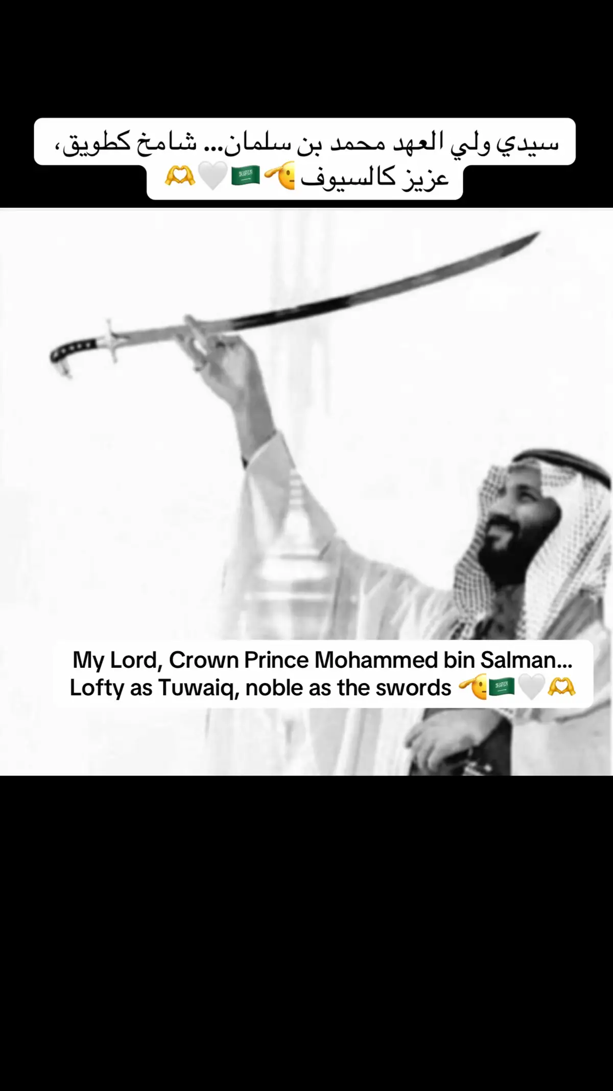 #creatorsearchinsights #ولي_العهد #محمد_بن_سلمان #قصص_السعودية #visiting_saudi_arabia @تركي آل الشيخ @فايز المالكي @بندر الجلعود 