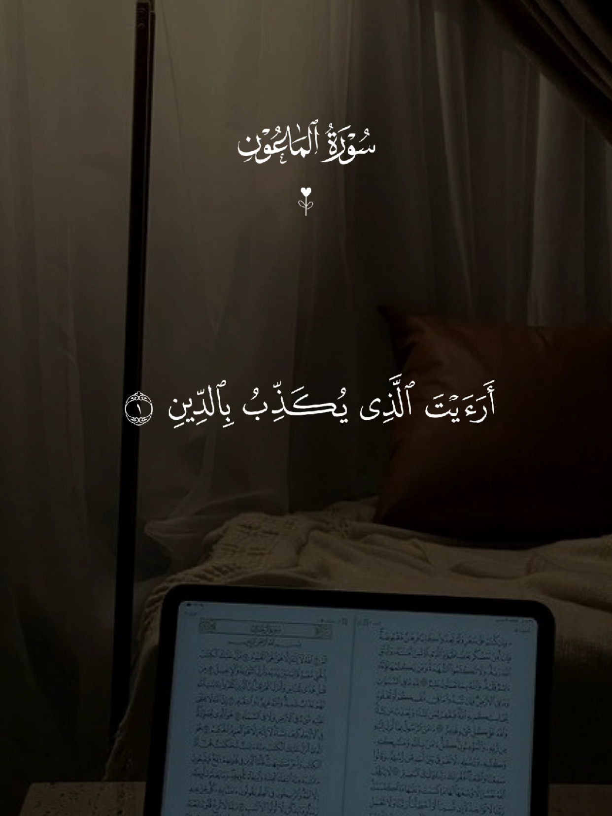 سورة الماعون 🤍 #قران #quran #قران_كريم #Allah #اللهم_صلي_على_نبينا_محمد 