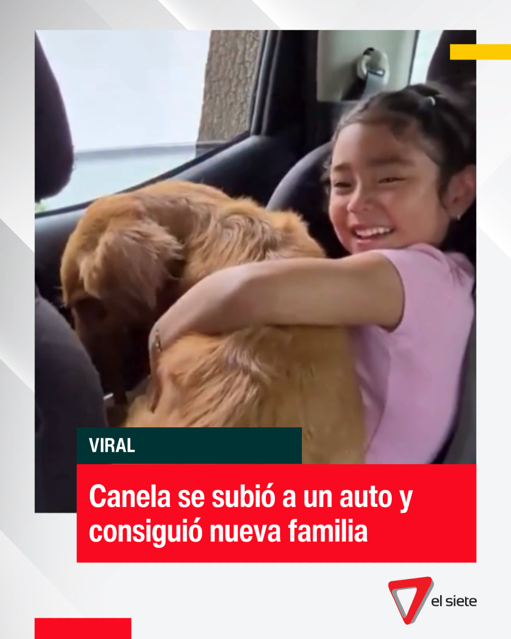 🥺 ¿PUEDE VENIR CON NOSOTROS? Una niña mexicana siempre veía siempre una perrita callejera y la nombró Canela. Después de varios días y ver que nadie la reclamaba, le pidió a su padre que la adoptaran. #viral #adopcion #perros #elsietetv