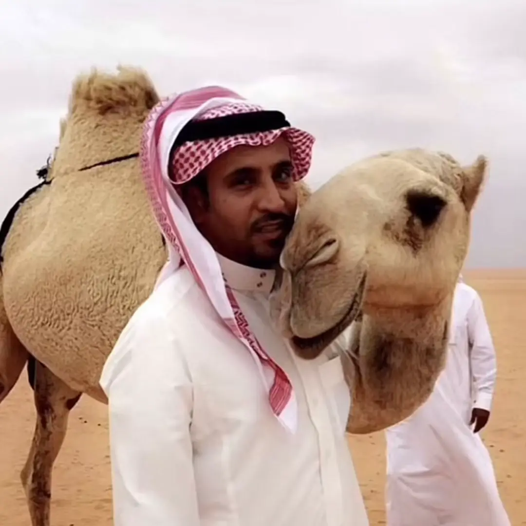 #مدغم_ابوشيبة 