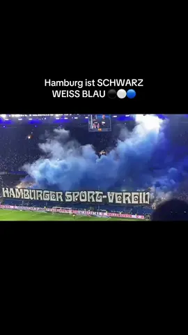 Eine Liebe ein Verein. ⚫️⚪️🔵 #hsv #irons #hsvforever #hsv_official #castaways 