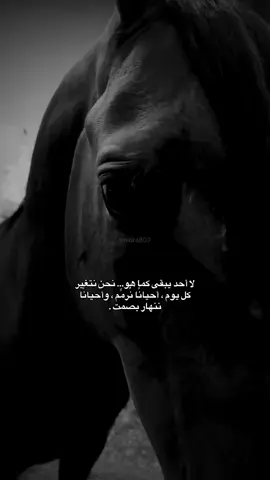 #VNVideoEditor #وصف_شعور #fypシ #fyp #مشاهدات 