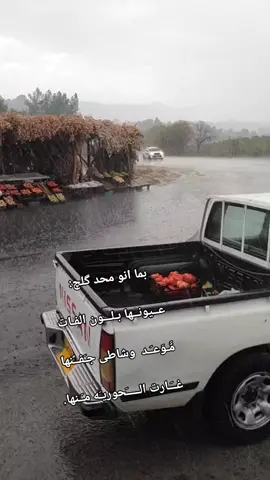 #هشتاك ع عراق #وتحياتي_لجميع_المشاهدين🖤__🌹 