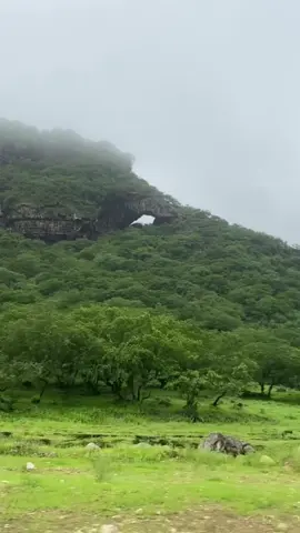 #خريف_صلاله🇴🇲دربات