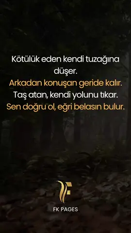 Kötülük eden kendi tuzağına düşer. Arkadan konuşan geride kalır. Taş atan, kendi yolunu tıkar. Sen doğru ol, eğri belasın bulur.