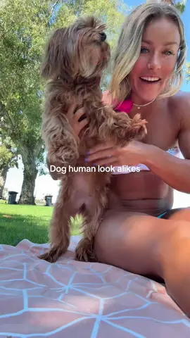 Dog look alike #dogs 