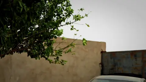 #نص_إلى_كلام 
