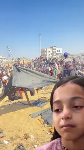 #freepalestine #gaza #فلسطين #غزة #creatorsearchinsights 