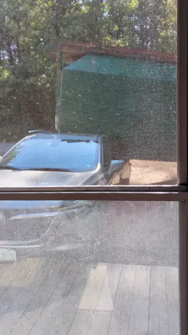 Waste Management dumpster crushed my parked car and I lose out on everything I paid for AND I have to pay off the crushed car. NOT FAIR!! Waste Management are you out there? How is this fair??  #wastemanagement #dumpster #unfair #crushedcar 