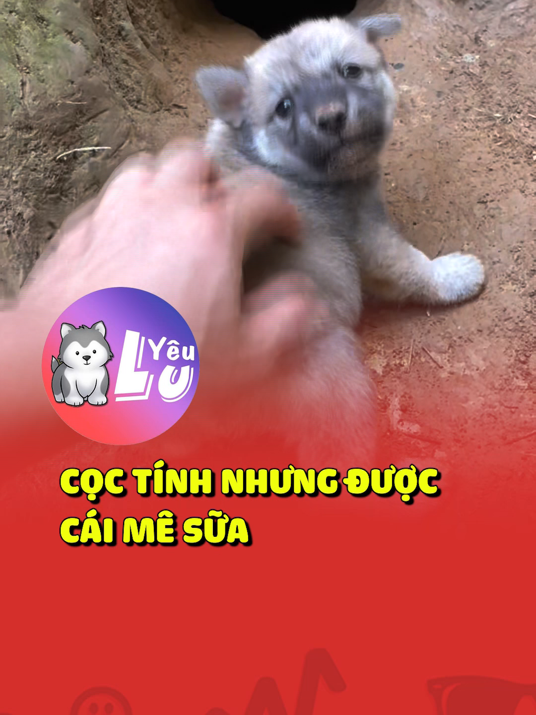 Cọc tính nhưng được cái mê sữa 😂 #shorts #yeulu