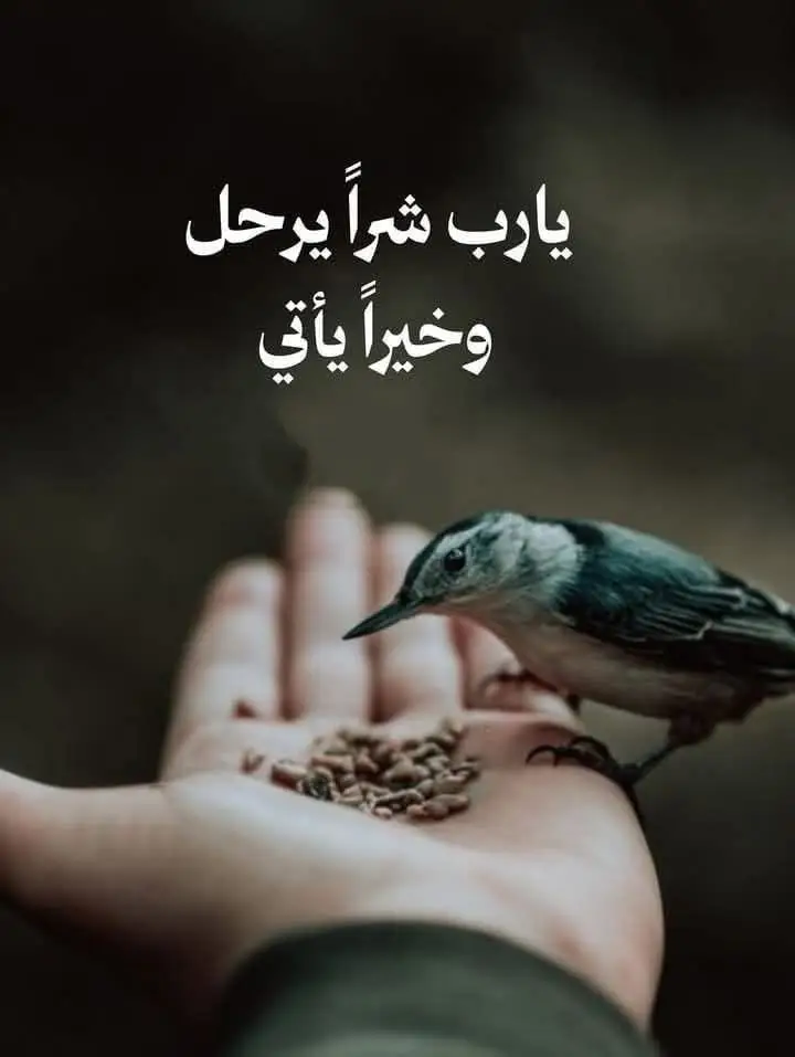 #مشاهدات #tektoklongs #2025 